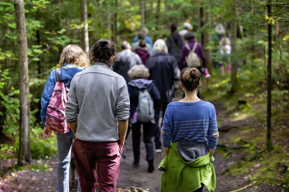 Wandergruppe mit Menschen aus allen Altersgruppen