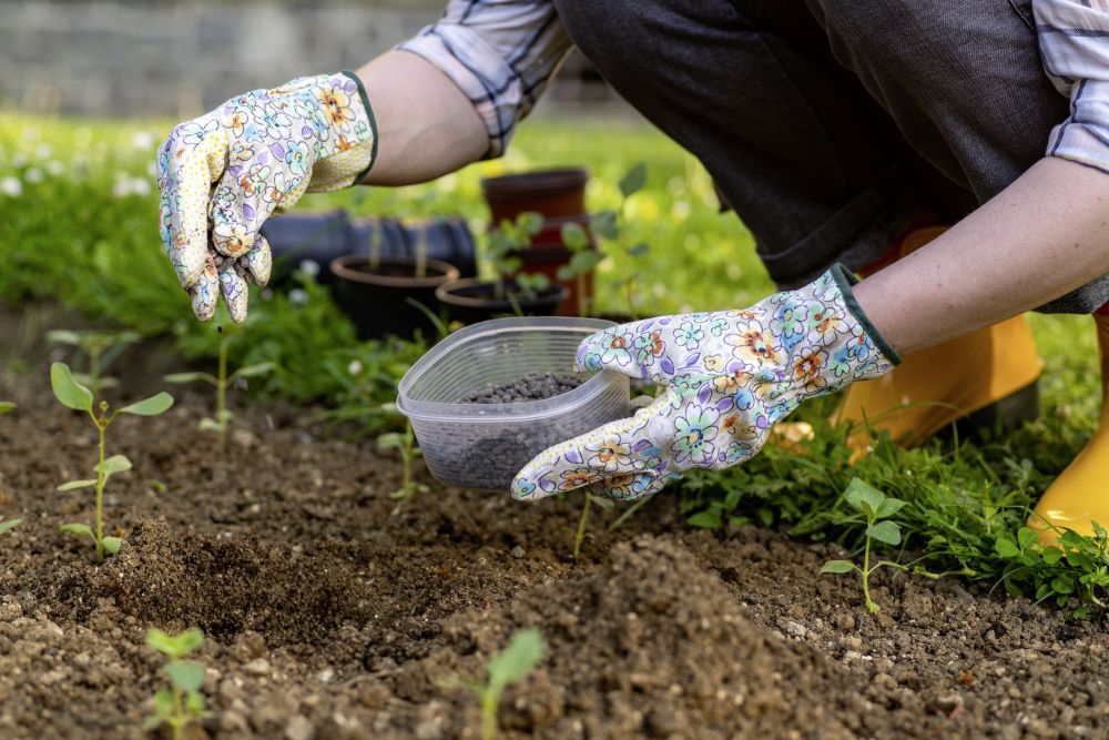 Samen mit Handschuhen einsäen
